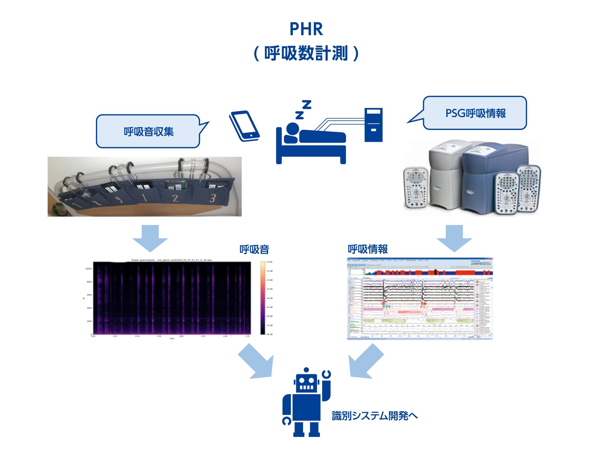 PHR（呼吸数計測）